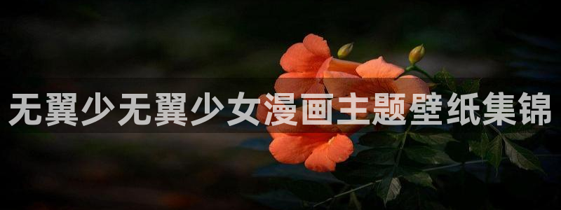 51漫画免费下载app安卓
