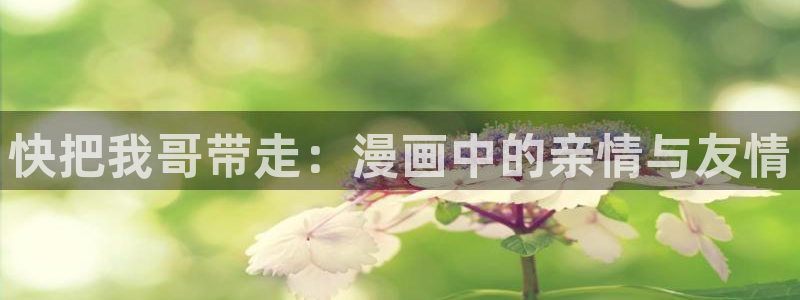 51漫画网址入口