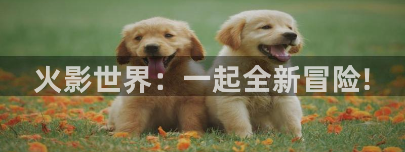 51漫画软件下载免费版