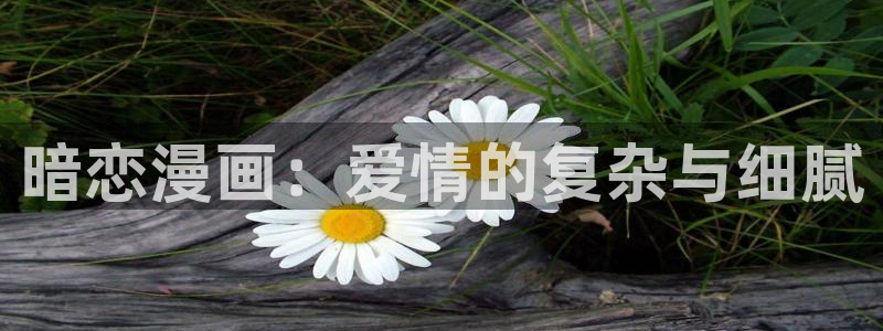 51漫画首页