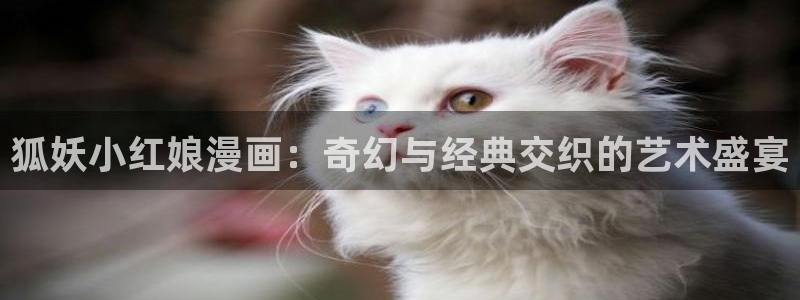 51漫画免费永久vip破解版下载安卓版下载