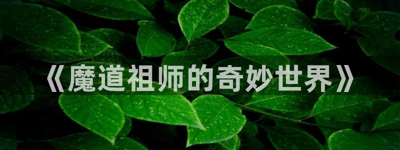51漫画免费官网